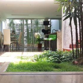 Jardin interno diseñado por arquitectos en Cuenca en el Condominio Junglares
